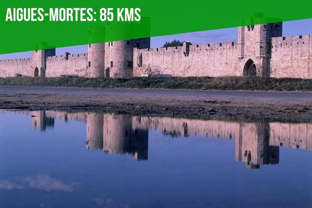 Les Felibres Lägenhet Avignon Exteriör bild